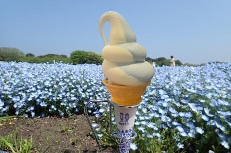 ネモフィラソフト 500円