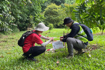 シンガポール北部で地熱地下貯留層発見、持続可能な熱源の可能性|ASEAN科学技術ニュース|Science Portal ASEAN ASEANの科学技術の今を伝える