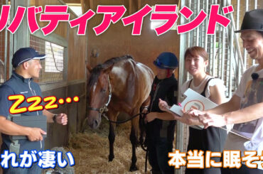【沢山の感動をありがとう】リバティアイランドが可愛すぎた 夏休みSP 取材中にウトウトZzz｜テレ東スポーツ：テレ東