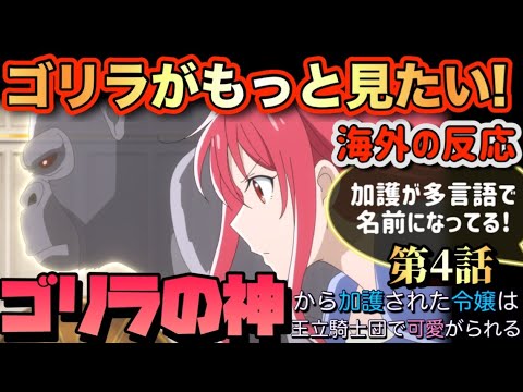 アニメ「ゴリラの神から加護された令嬢は王立騎士団で可愛がられる」 第4話 【海外の反応 】 ゴリラがもっと見たい‼加護が多言語で名前になってる‼