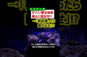 新潟県知事、ガソリン暫定税率廃止に猛反対