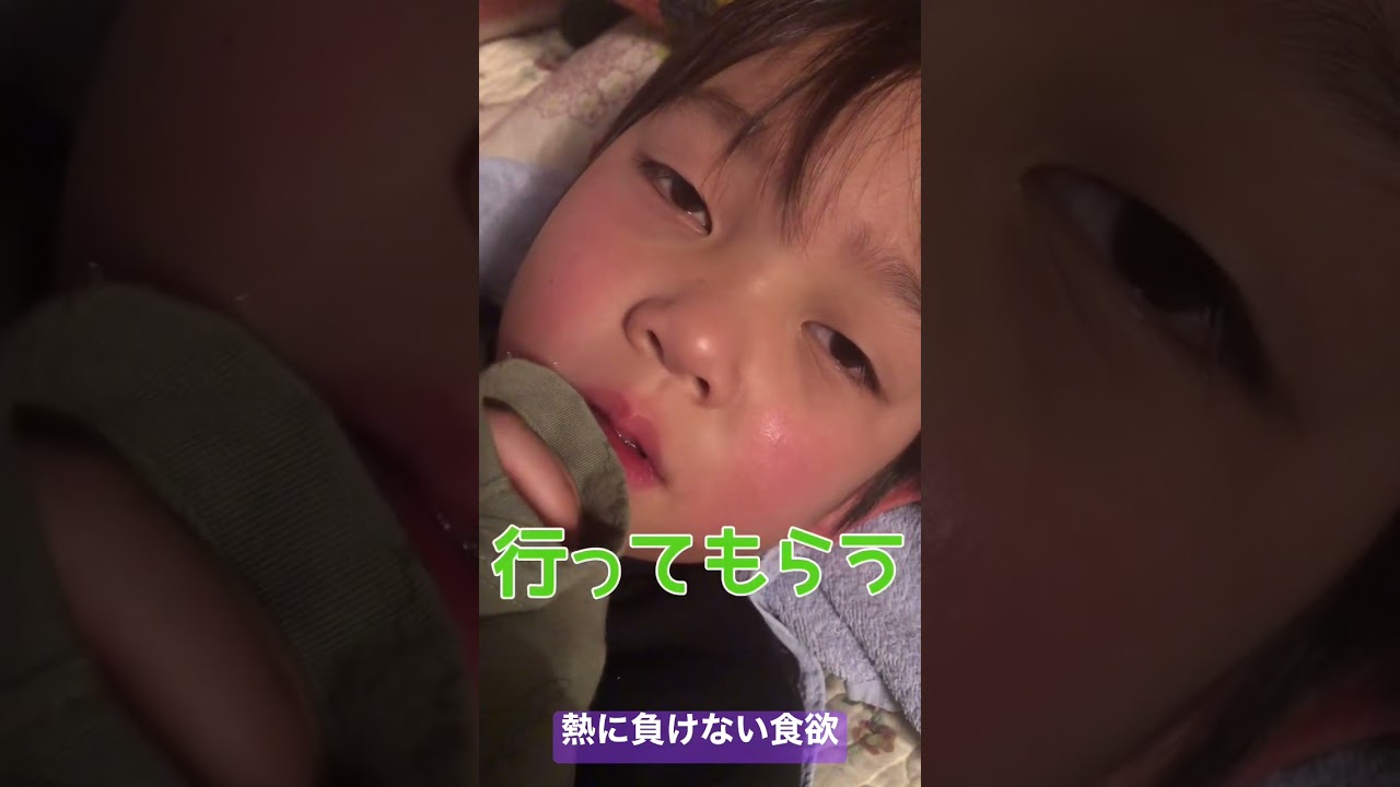 熱に負けない日本代表。兄と姉をパシる夜。※大食い男の行く末#shorts #寿司#にこりおchannel