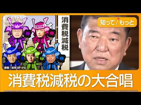 石破総理“消費減税を見送り”か コメ&ガソリン安定狙う? 野党は減税訴え【知ってもっと】【グッド!モーニング】(2025年5月5日)
