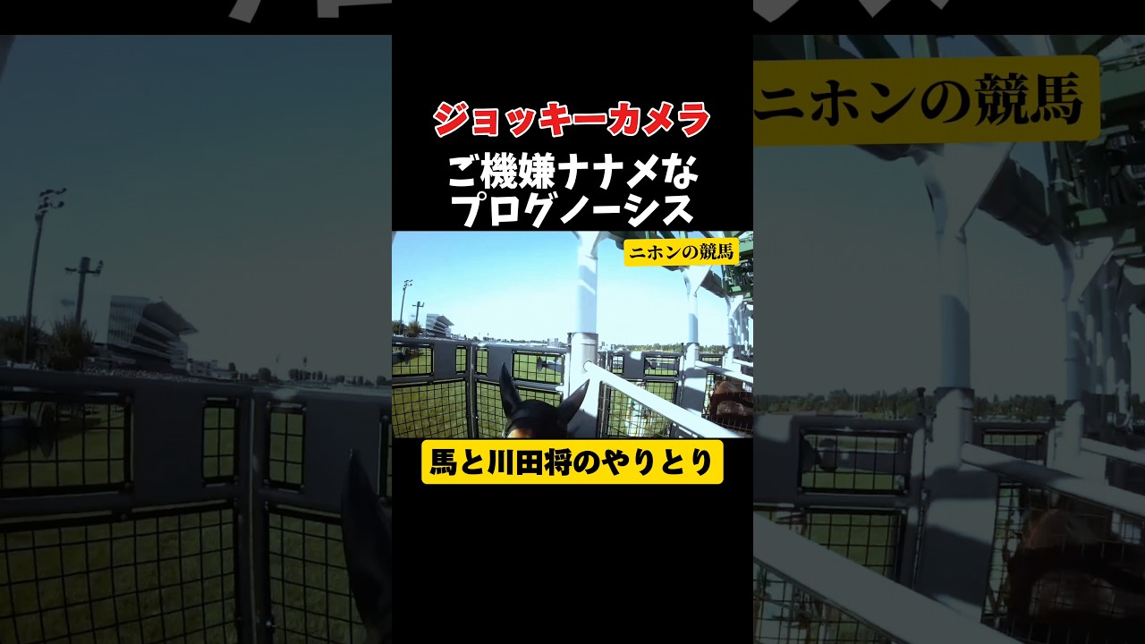 川田将雅の災難 #shorts #競馬 #プログノーシス