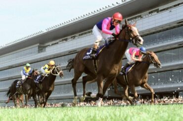 良きライバルがいてこそ競馬は面白い！テイエムオペラオーとメイショウドトウ、6度の死闘を繰り広げた2頭の名レース 「あの日」の名馬伝説（20）(1/3) | JBpress (ジェイビープレス)
