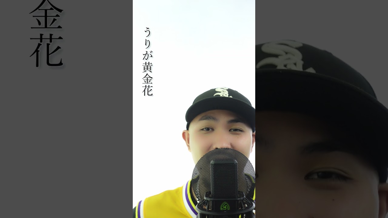 地元では誰もが知っている民謡 #永良部百合の花 #もりたけいたCOVER #沖縄三線 #琉球民謡 #琉球古典音楽 #沖縄