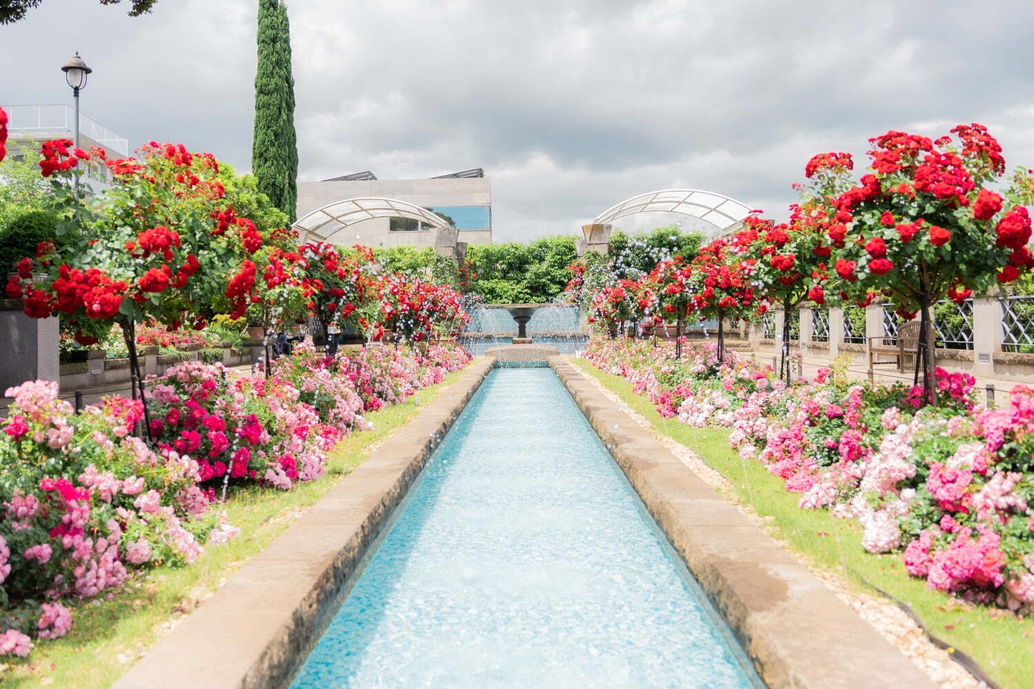 横浜市内をバラが彩る「横浜ローズウィーク」約160品種1,600株のバラが咲く山下公園など – ファッションプレス 横浜市内をバラが彩る「横浜ローズウィーク」約160品種1,600株のバラが咲く山下公園など - ファッションプレス