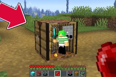 アイテムの中に入れる世界でサバイバル【マインクラフト】