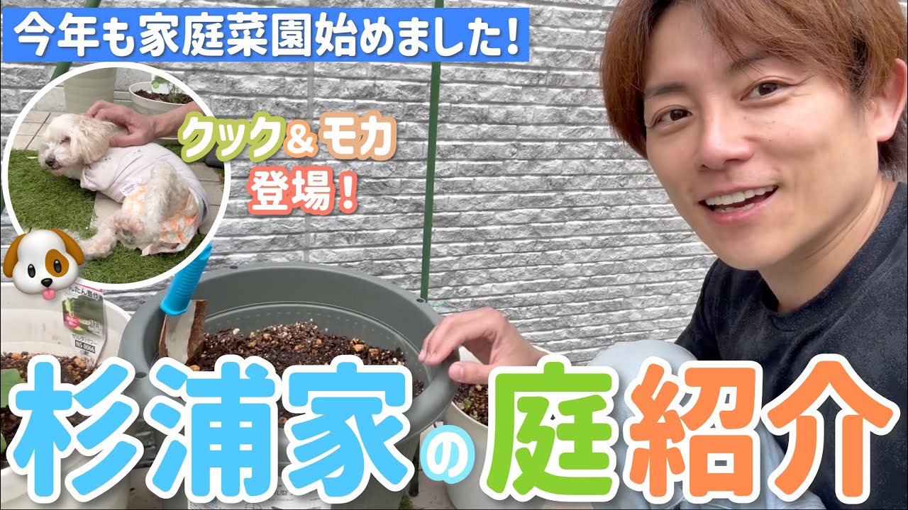【杉浦さんちのベジガーデン2025】家庭菜園10年以上してますが、今年も種まきと植えつけしてみました!