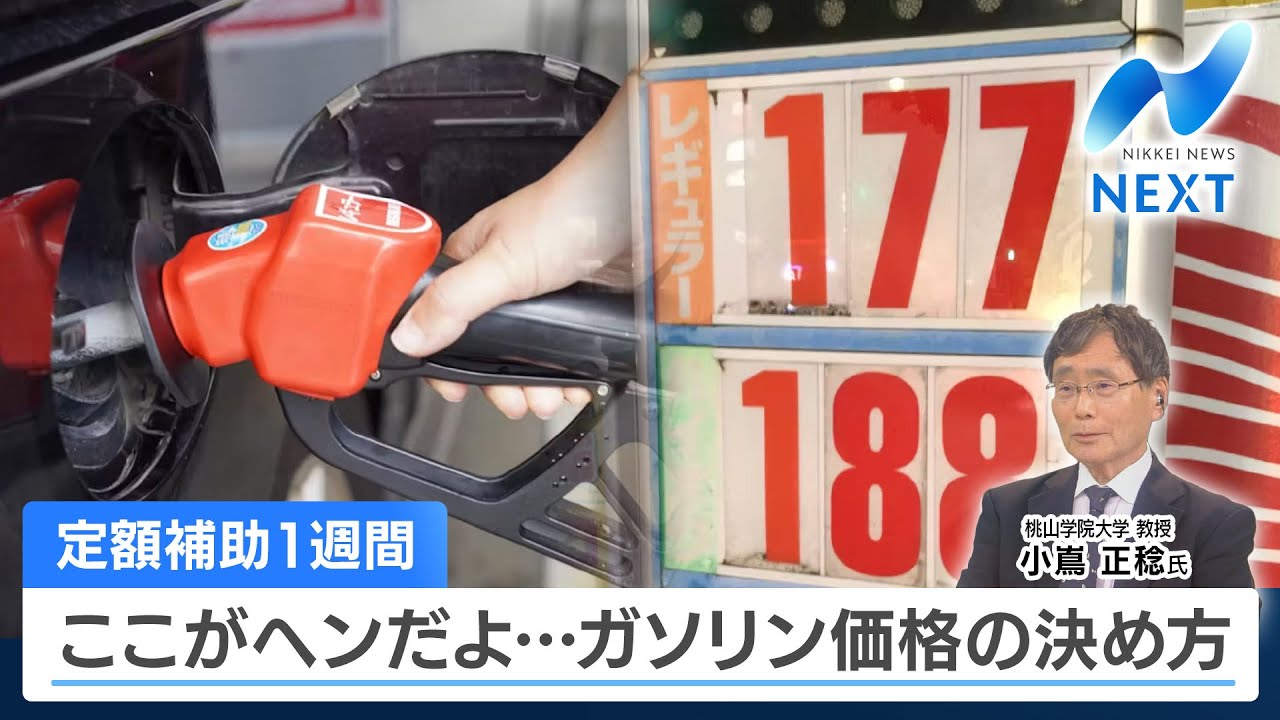 定額補助1週間 ここがヘンだよ…ガソリン価格の決め方【NIKKEI NEWS NEXT】