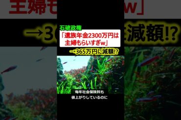 石破政権「遺族年金2300万円は主婦貰い過ぎw」→365万円に減額…