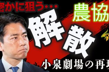 セクシー進次郎まさかの農協解散!? 森山ドン激怒💥 玉木は失速で…政界の主役交代SP🔥【ダメダメTOP10】