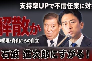 石破、進次郎にすがる！影の総理・森山から自立できるか？衆参ダブルか立憲と大連立か