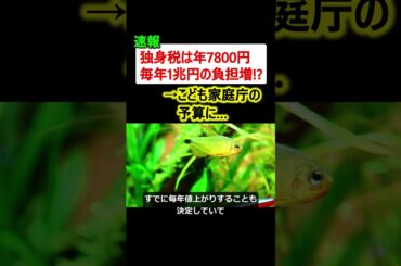【速報】独身税は年7800円、年間1兆円の国民負担と発覚!?