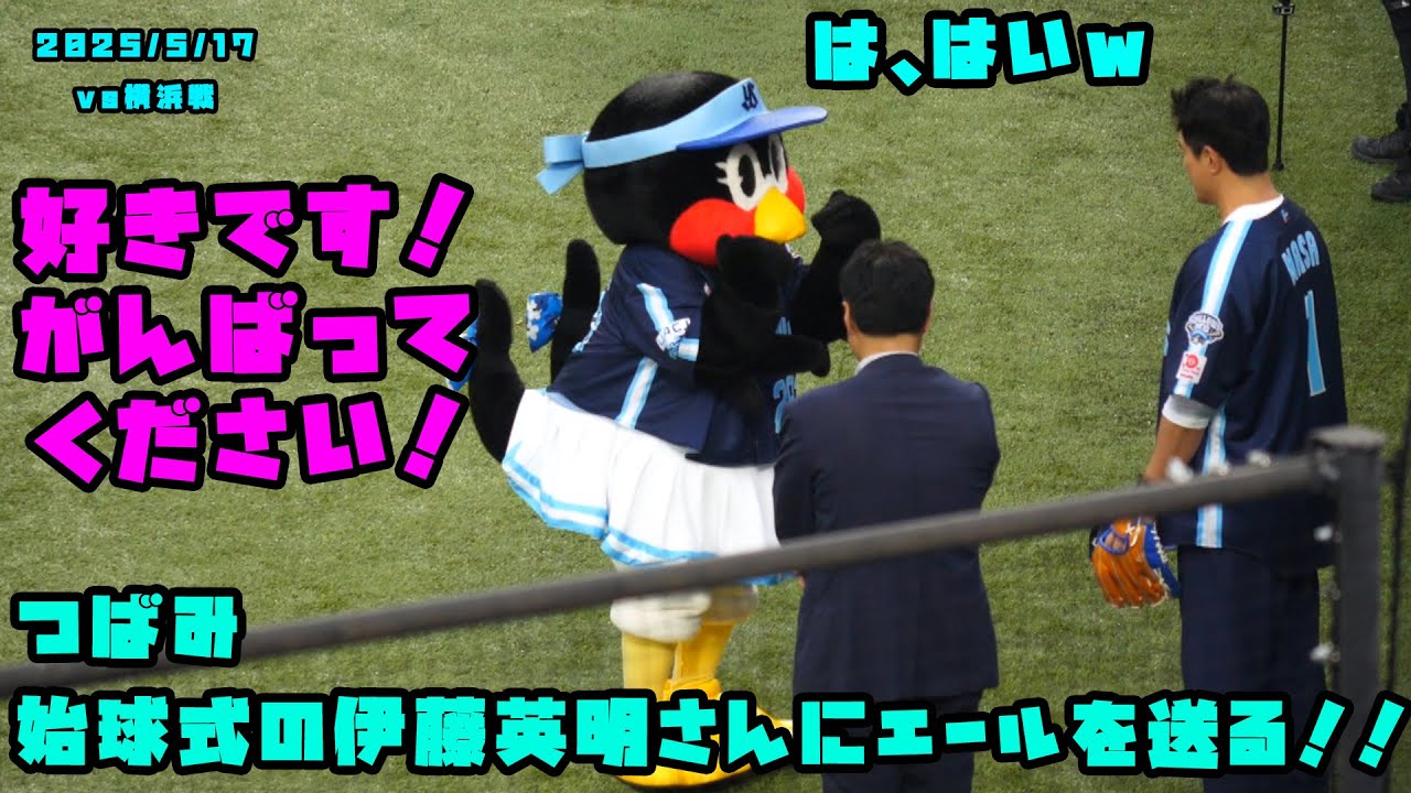 つばみ 始球式の伊藤英明さんにエールを送る!! 2025/5/17 vs横浜