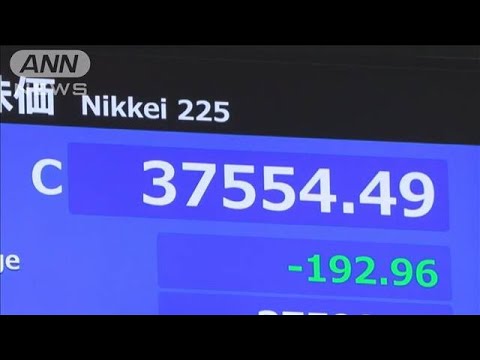 日経平均終値192円安 自動車株に売り【知っておきたい!】【グッド!モーニング】(2025年6月6日)