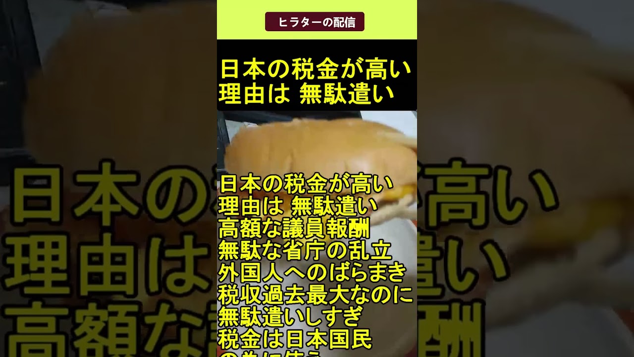 日本の税金が高い理由は 無駄遣い 2025.6.10 ヒラターの配信 ショート #shorts
