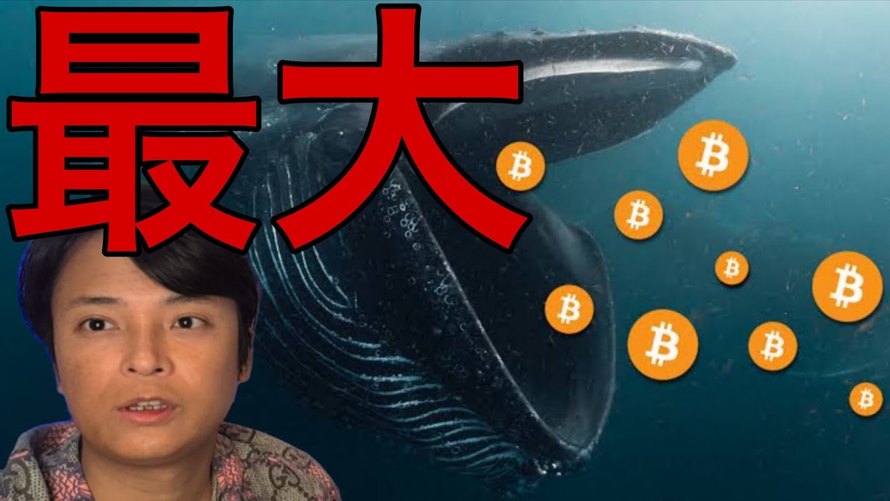 ビットコイン急落でも今年最大の蓄積!6月に最高値更新か?