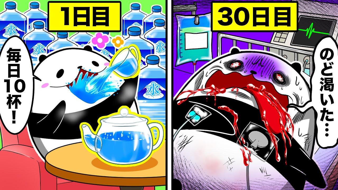 白湯を毎日飲み続けるとどうなるのか?【アニメ】