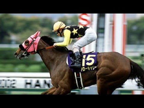 【2002年桜花賞】アローキャリー 池添謙一騎手初G1制覇 2002 okasho ArrowCarry