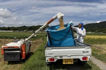 トランプ氏、「コメ」で日本に新たな関税示唆－交渉継続と米政府幹部 - Bloomberg