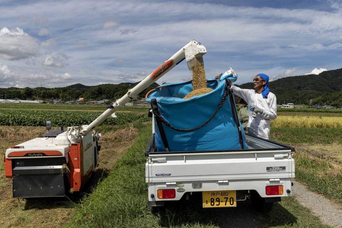 トランプ氏、「コメ」で日本に新たな関税示唆-交渉継続と米政府幹部 – Bloomberg トランプ氏、「コメ」で日本に新たな関税示唆-交渉継続と米政府幹部 - Bloomberg