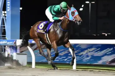 【川崎競馬・関東オークス】18日ゲートイン　過去10年データで必勝ポイントを探る！ - スポニチ Sponichi Annex ギャンブル