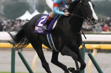 【顕彰馬選定】イクイノックスが殿堂入り - スポニチ Sponichi Annex ギャンブル