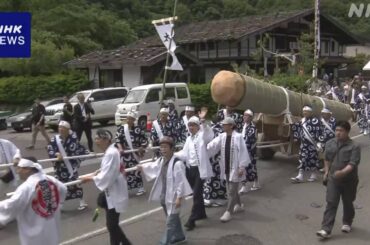 長野上松町 伊勢神宮 式年遷宮へ ヒノキ切り出し お木曳き行事 | NHK
