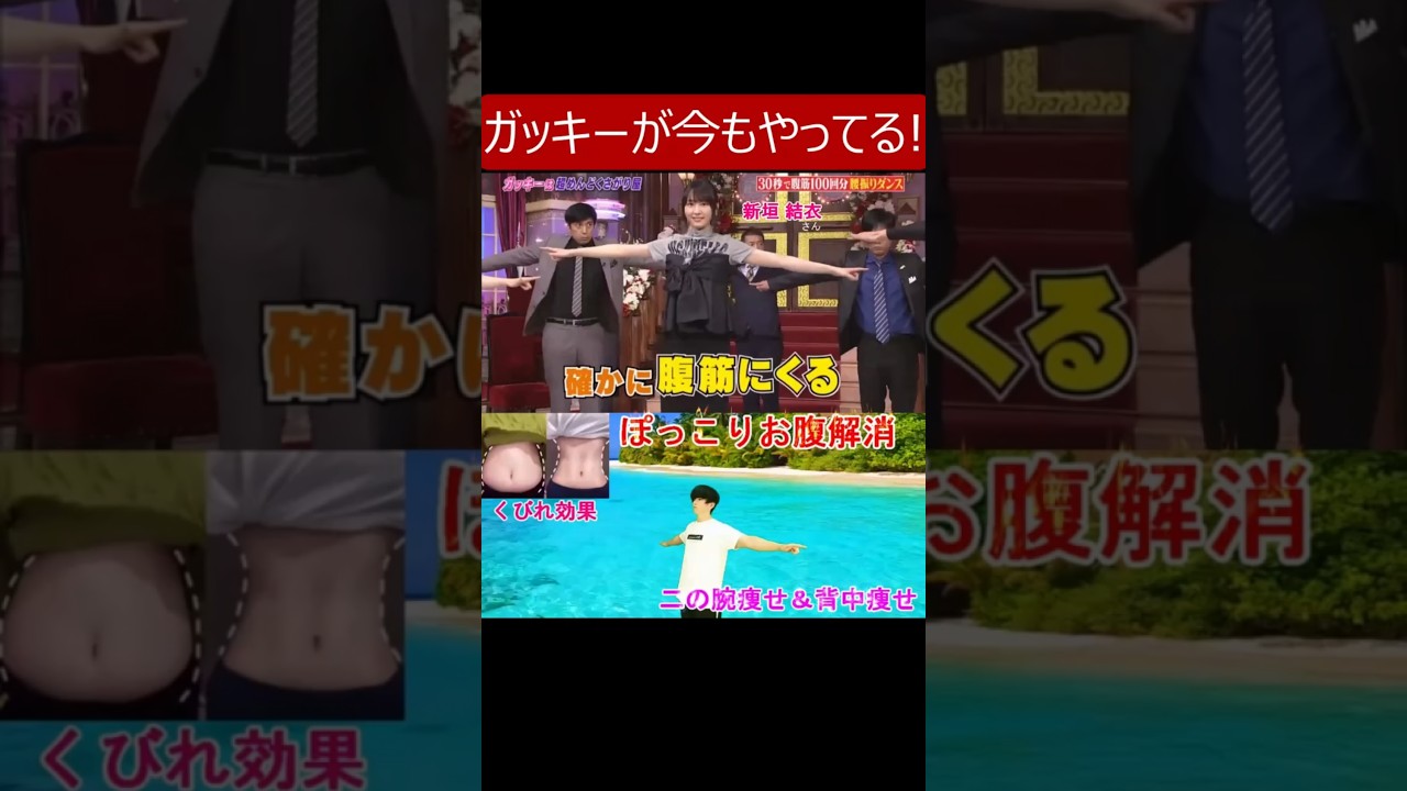 ガッキー(新垣結衣さん)が今も続けてる話題のくびれトレーニング◆ぽっこりお腹解消や二の腕引き締めにも効果的な痩せる運動 ダイエット初心者や筋トレ苦手な人にも◎#ガッキー #新垣結衣 #ダイエット初心者