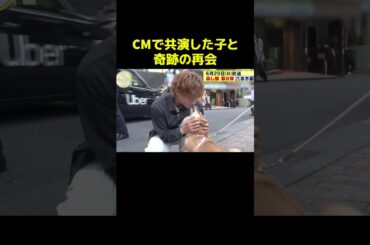 🎉100万再生！CMで共演した子と奇跡の再会#感動 #切り抜き #fyp #キスマイ #動物 #shorts