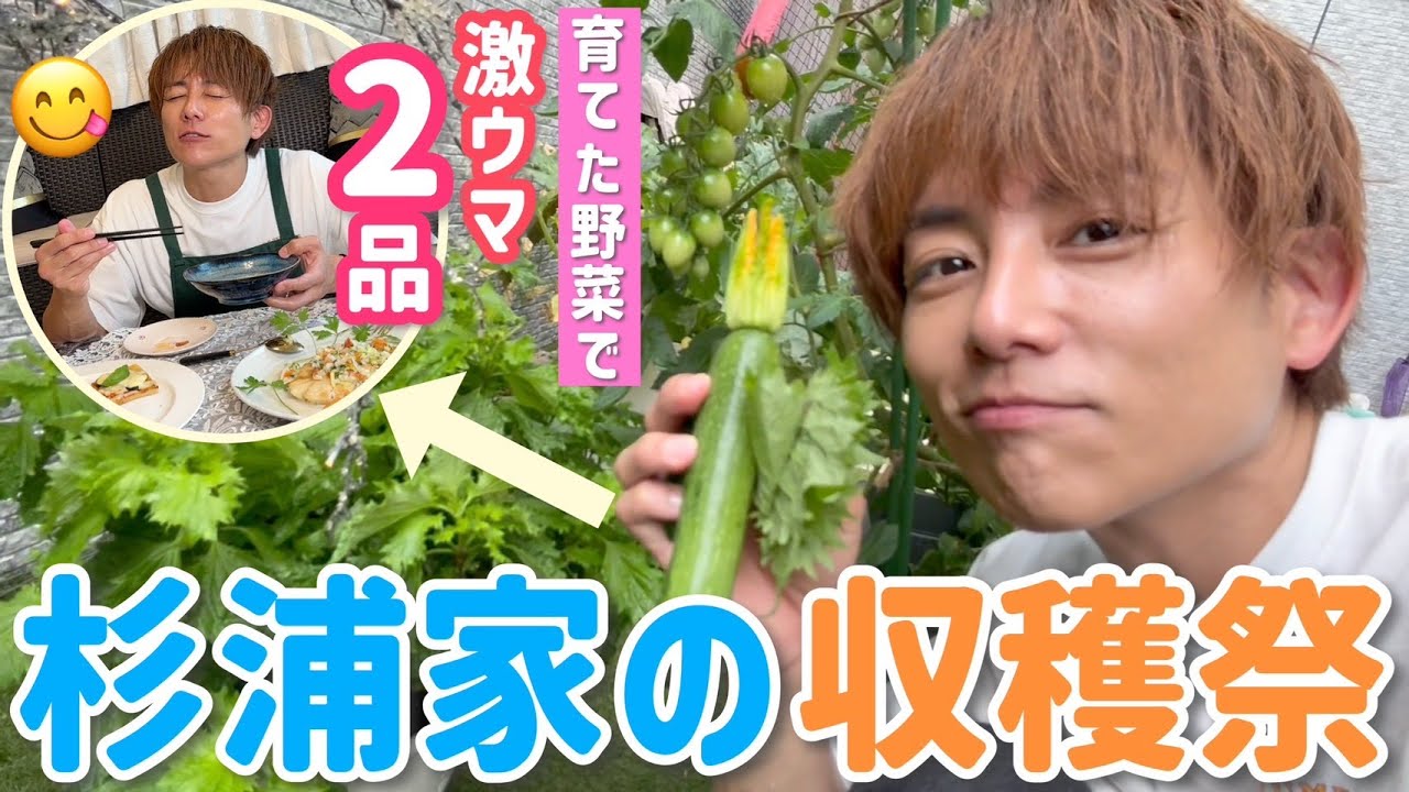 【家庭菜園】採れた野菜でクッキング〜!鮮度抜群で激ウマ!