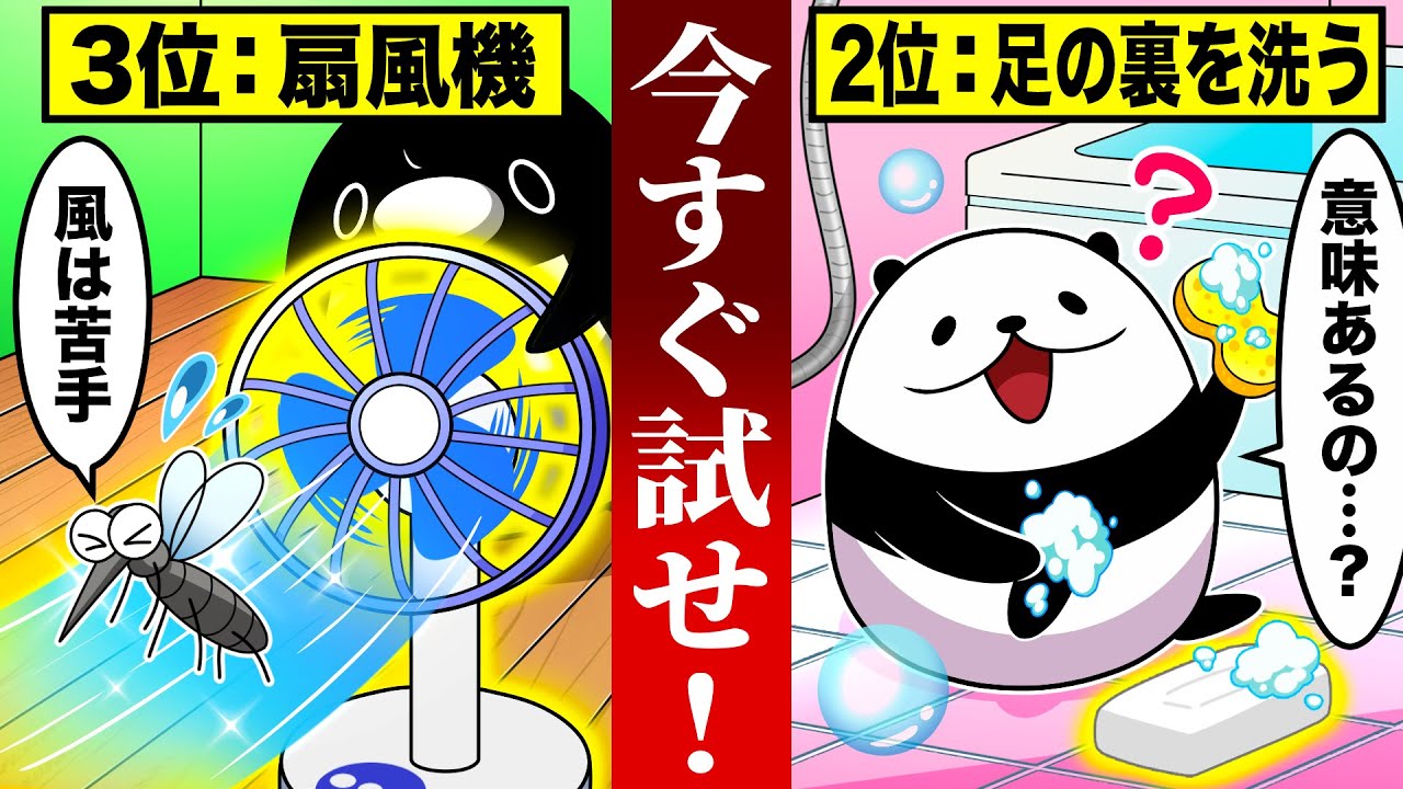 【夏必見!】蚊に刺されない驚きの方法4選【アニメ】