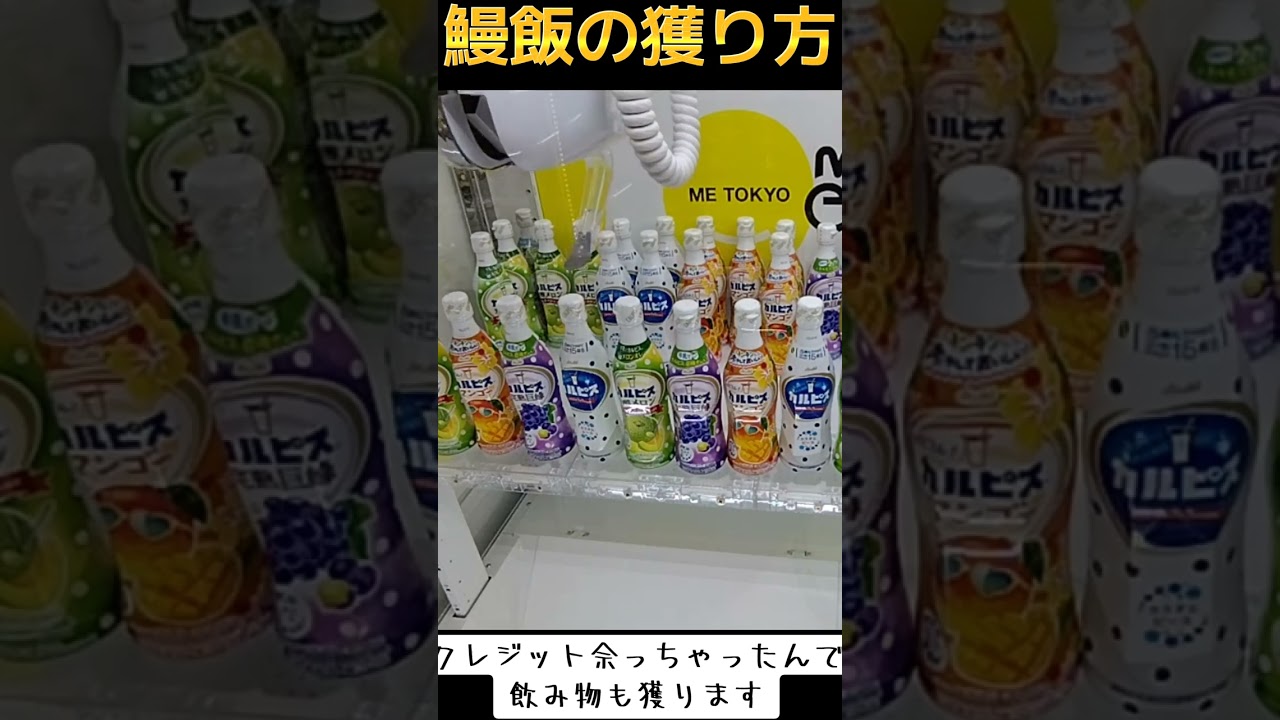 #ゲーセン #クレーンゲーム #攻略 #うなぎ #鰻 #土用の丑の日 #カルピス #一撃 TikTok