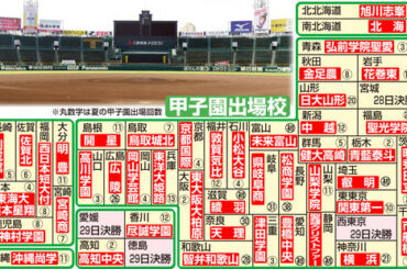 【イラスト】夏の甲子園出場校と地方大会決勝の日程