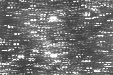 太陽系内を猛スピードで移動する「恒星間天体」、天文学者が発見　３例目 - CNN.co.jp
