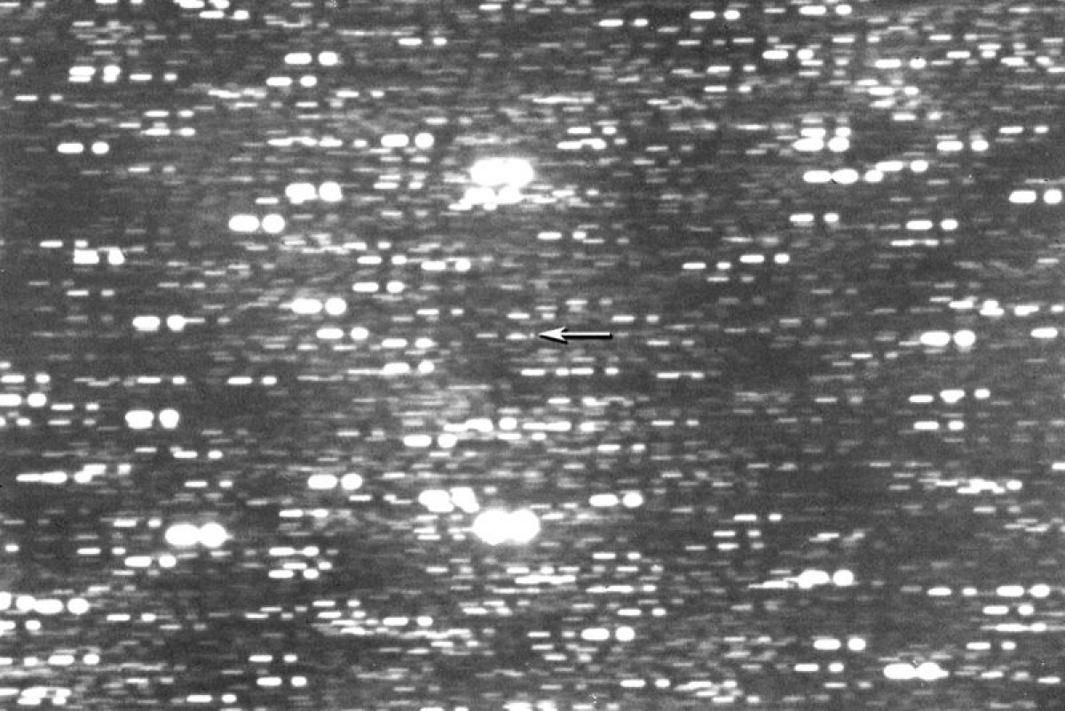 太陽系内を猛スピードで移動する「恒星間天体」、天文学者が発見 3例目 – CNN.co.jp 太陽系内を猛スピードで移動する「恒星間天体」、天文学者が発見 3例目 - CNN.co.jp