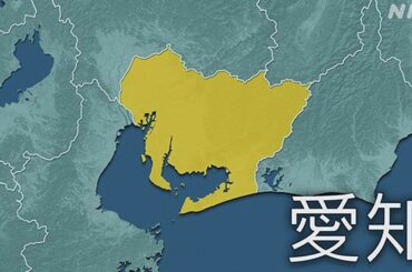 愛知県で80代女性と90代男性が死亡 熱中症の疑い - nhk.or.jp