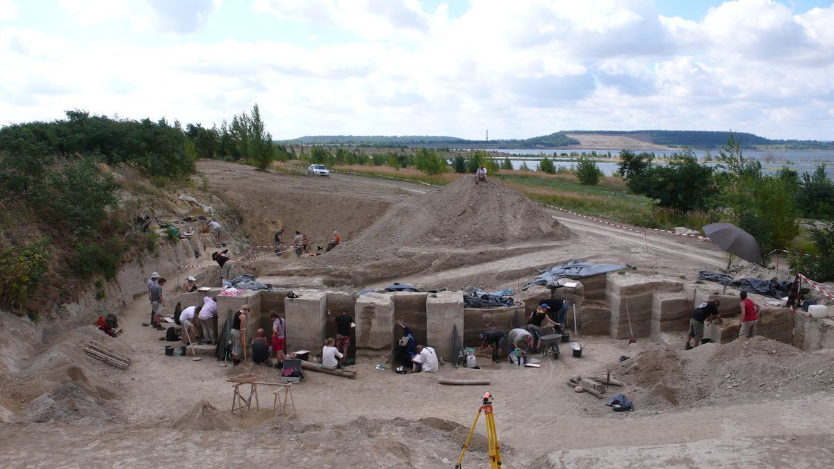 ドイツに12万5000年前の「脂肪工場」、ネアンデルタール人による抽出作業の痕跡と研究者 – CNN.co.jp ドイツに12万5000年前の「脂肪工場」、ネアンデルタール人による抽出作業の痕跡と研究者 - CNN.co.jp