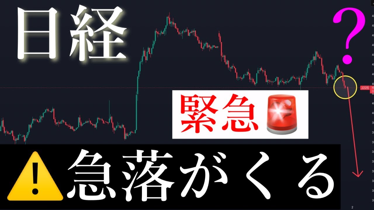 🚨暴落警戒してください。日経平均株価/Ni225