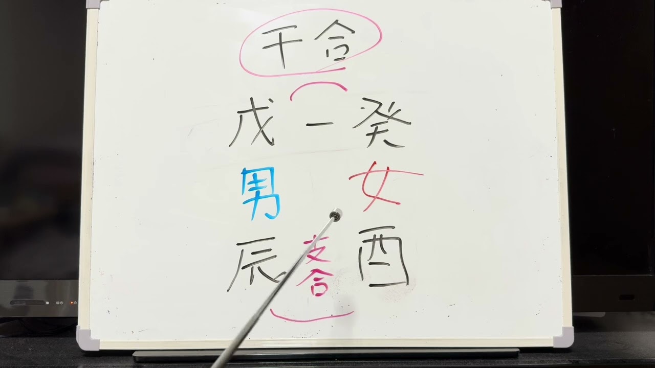 源田壮亮さんと衛藤美彩さんを占ってみた