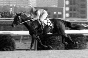 “スーパーカー”の異名をもつマルゼンスキー、生涯戦歴8戦8勝の強さを物語る「歴代最強馬」の伝説とは 「あの日」の名馬伝説（23）(1/4) | JBpress (ジェイビープレス)