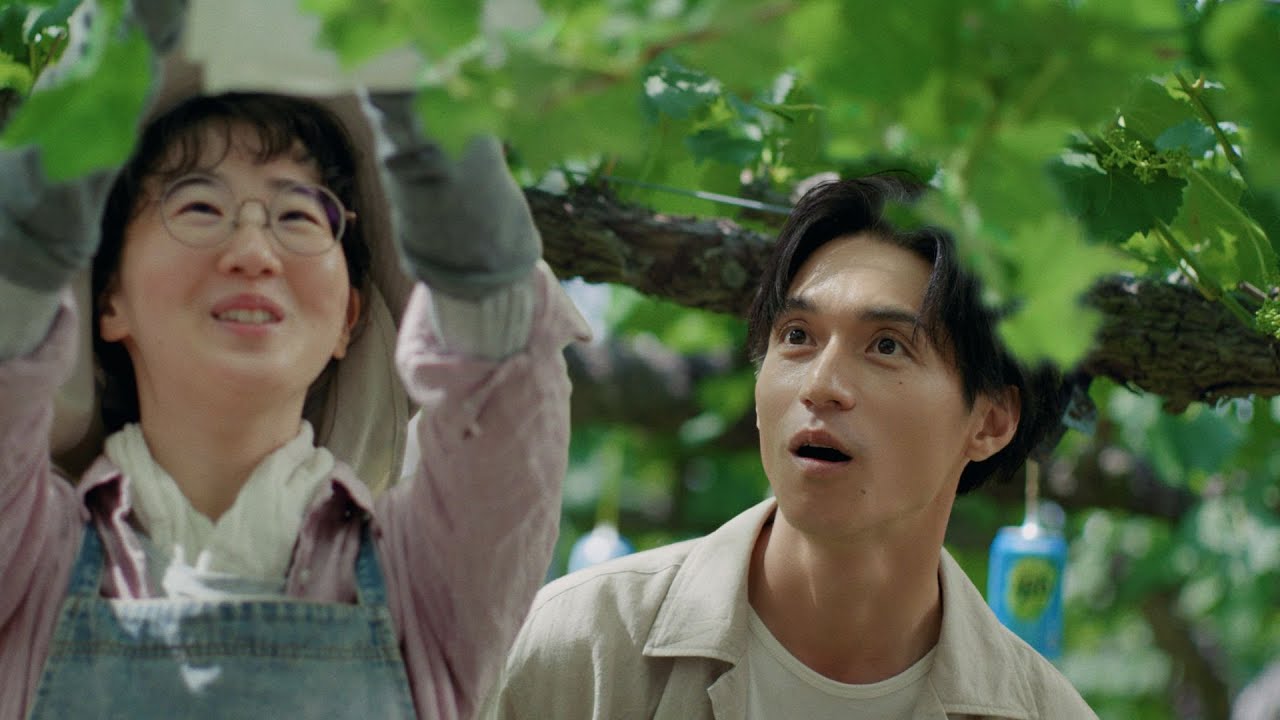 -196『シャインマスカットの缶が実る果樹園』篇 15秒 錦戸亮 サントリー