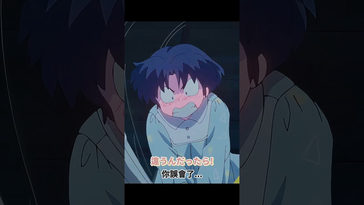 違うんだったら! 你誤會了…(らんま1/2)(Ranma12)