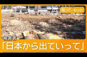 富士山遮る樹木伐採した中国人経営者にあさって判決　同胞から「恥かかせるな」【もっと知りたい！】【グッド！モーニング】(2025年8月16日)