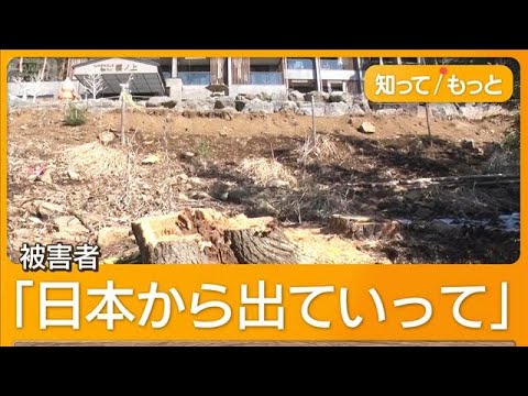 富士山遮る樹木伐採した中国人経営者にあさって判決 同胞から「恥かかせるな」【もっと知りたい!】【グッド!モーニング】(2025年8月16日) 富士山遮る樹木伐採した中国人経営者にあさって判決 同胞から「恥かかせるな」【もっと知りたい!】【グッド!モーニング】(2025年8月16日)