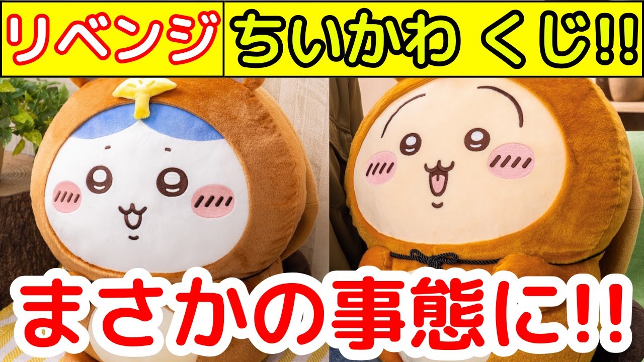 【ちいかわ】話題のたぬきだもんくじを○○に引いてもらったら凄い結果に・・!