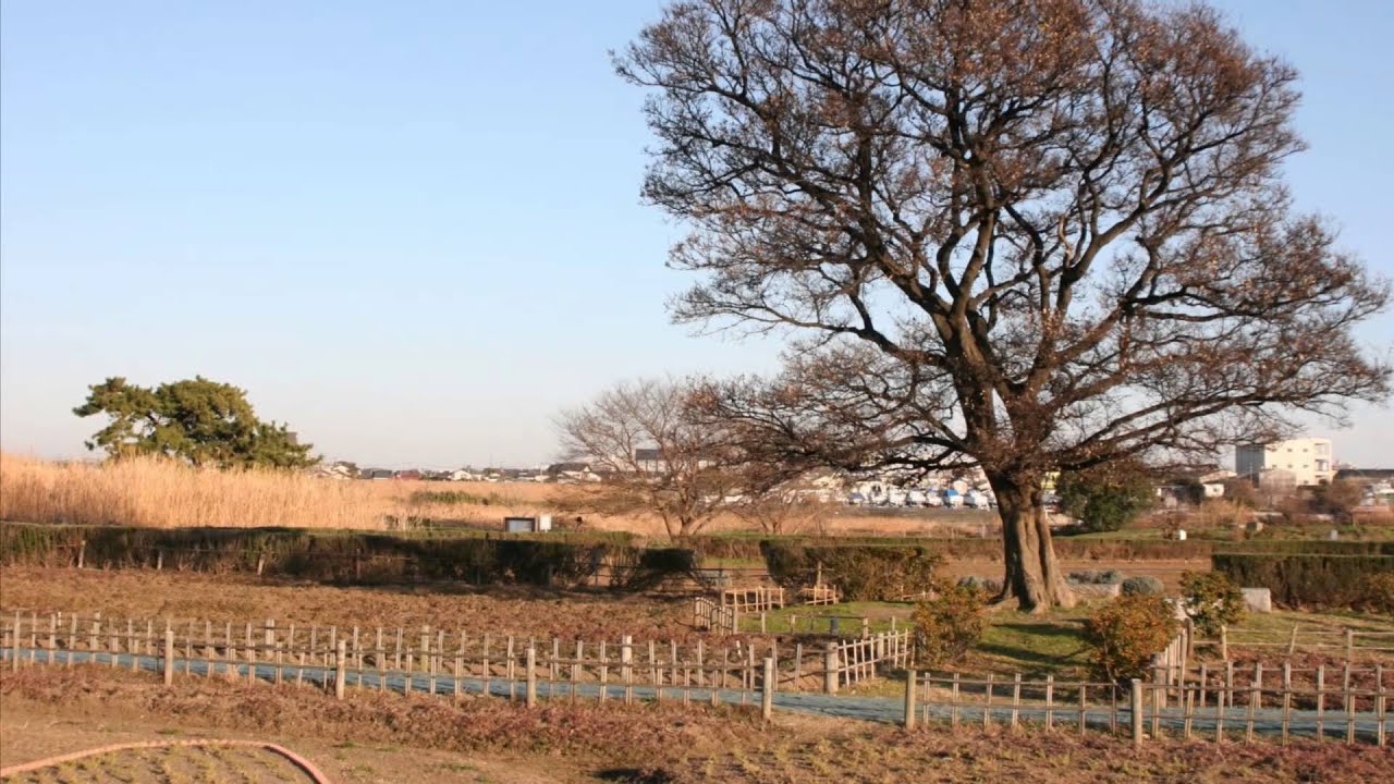 花と竜(尺八のみです)村田英雄