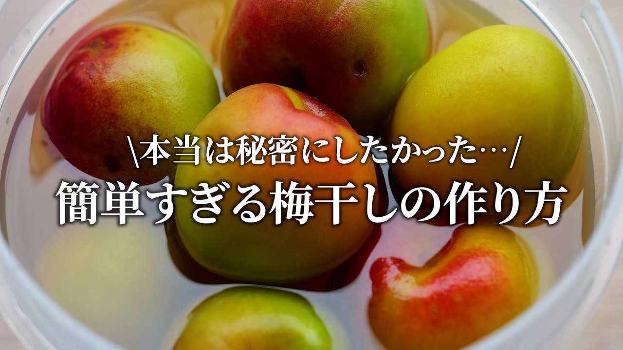 【梅干し屋直伝」本当は秘密にしたい梅干し作りの裏技。3分でできて失敗しません!