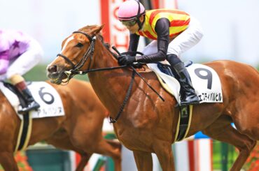 【重賞見どころ・新潟2歳S】皐月賞馬の妹フェスティバルヒル、来春クラシックへ試金石の一戦 - スポーツナビ - スポーツナビ